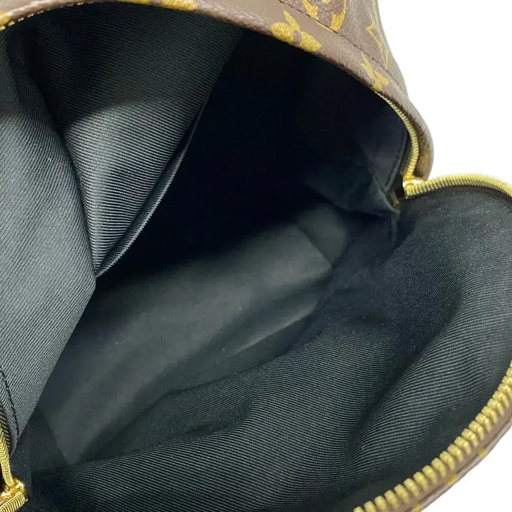 Louis Vuitton Palm Springs Backpack PM Monogram Backpack M41560